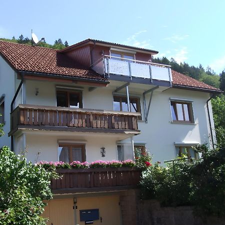 Апартаменти Haus Michler Тодтнау Екстер'єр фото