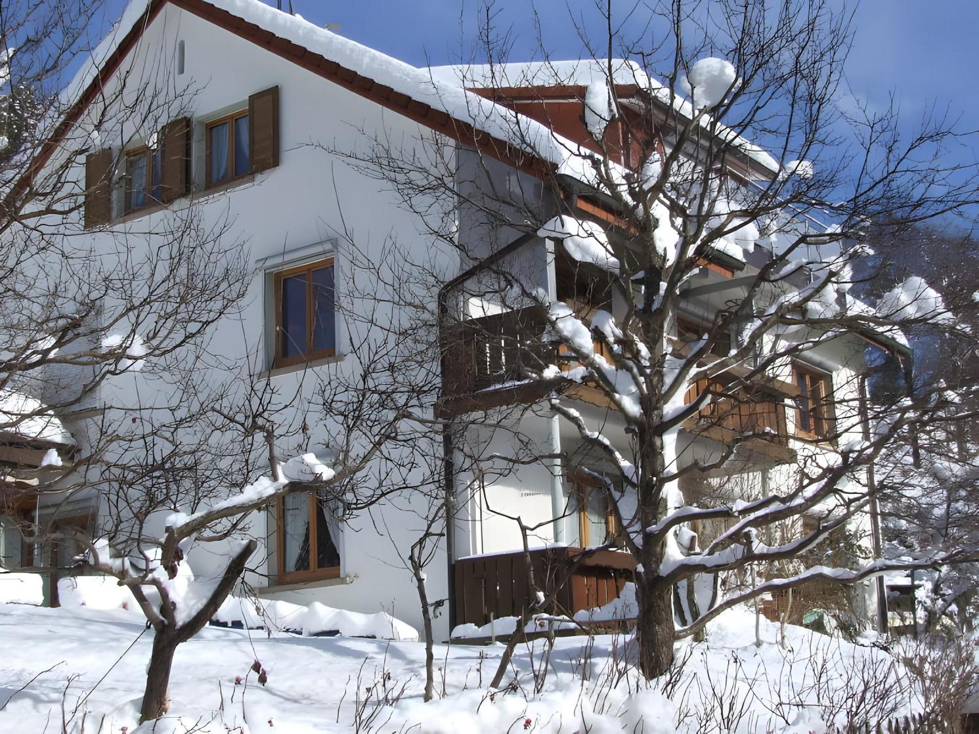 Апартаменти Haus Michler Тодтнау Екстер'єр фото